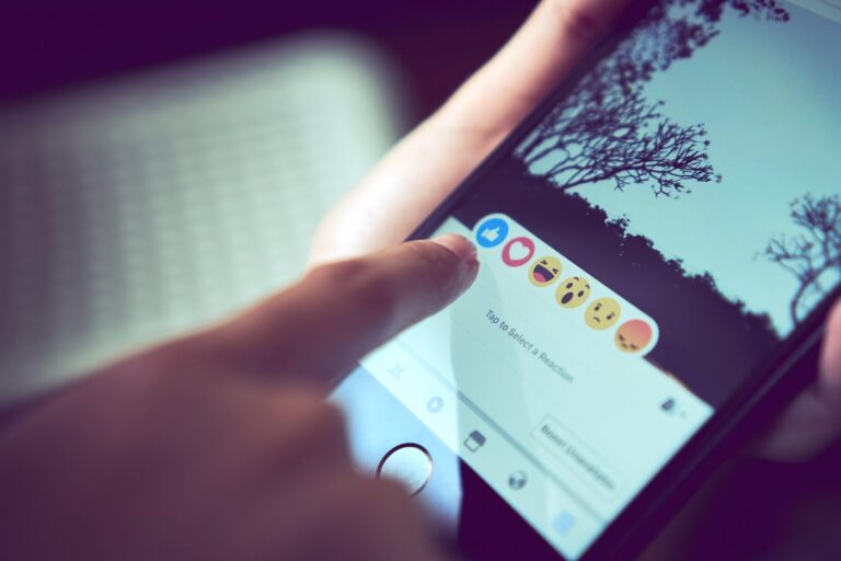 facebook video statistics